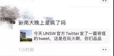 “热情欢迎”中国留学生后，澳新南威尔士大学在涉港问题上暴露了-3.jpg